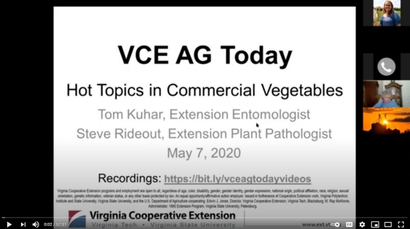 Cover for publication: VCE Ag Today: Hot Topics in Commercial Horticulture