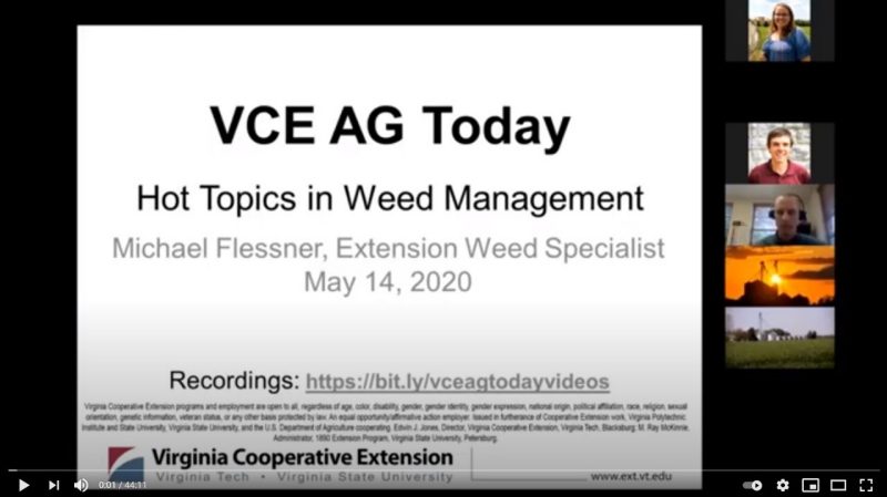 Cover for publication: VCE Ag Today: Hot Topics in Weed Management