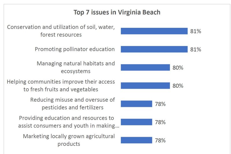 Top 7 issues in Virginia Beach