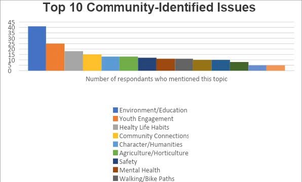 Figure 5. Bar Graph with number of mentions: Top 10 Community-Identified Issues from VCE Resident Survey