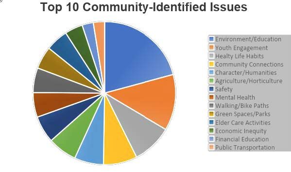 Figure 4. Pie Chart of Top 10 Community Identified Issues from VCE Resident Survey