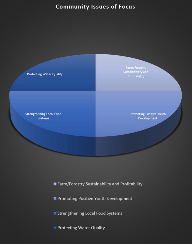 Graph of Community Issues of focus.