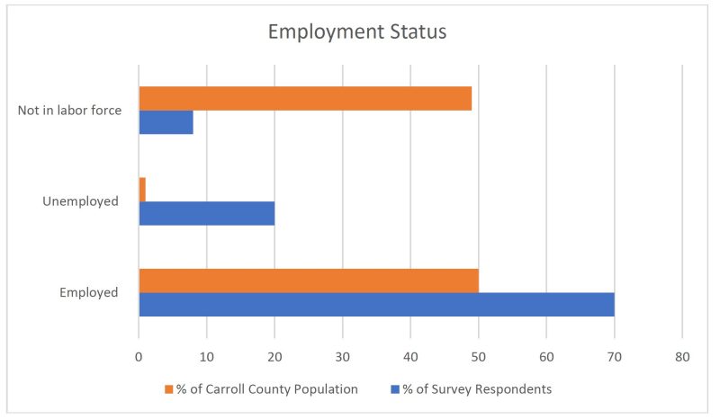 Employment Status Graph