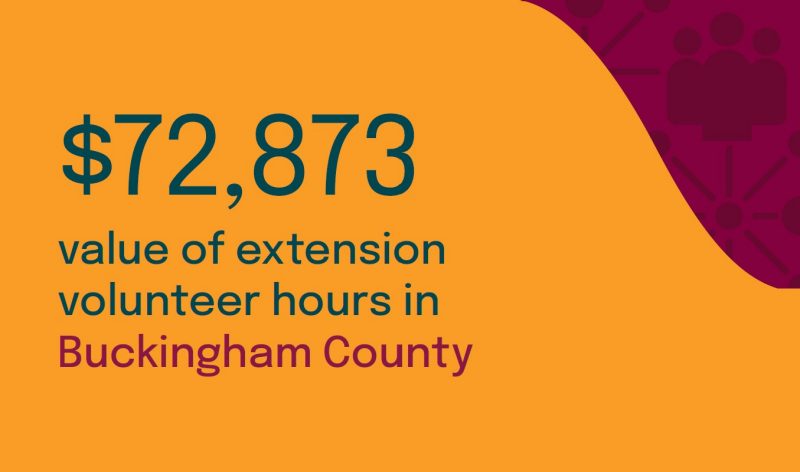 $72,873 value of extension volunteer hours in Buckingham County.